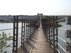 -上海鲜花港