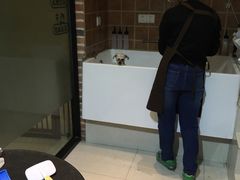 -Oh My Dog宠物沙龙(伊珊娜皮毛护理店)