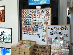 -熊猫邮局(少城店)