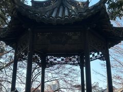 -水绘园