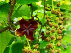 -终南山国家森林公园