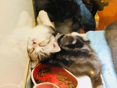 -凯德广场(武胜路店)