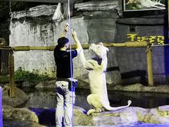-清迈夜间动物园