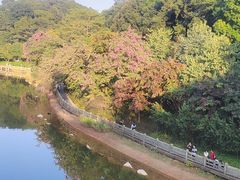 -广州市帽峰山景区