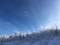 -大秃顶子山