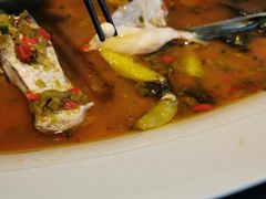 -凤凰湘语·湘粤鲜融(浦东旗舰店)