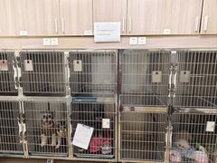 -艾贝尔宠物医院 ·中兽医·宠保定点(北门桥店)