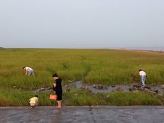 -南汇嘴观海公园