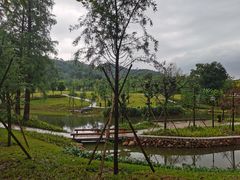 -中山市树木园