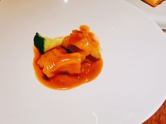 金汤玉井花胶-觀芷隐轩