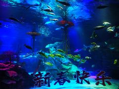 -沈阳海洋探索中心