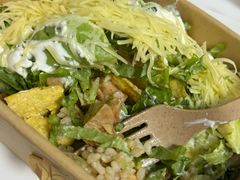 -油梨树 AVOCADO TREE(亮马桥店)