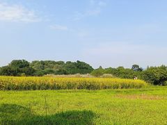 -良渚古城遗址公园