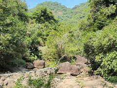 -广州白江湖森林公园