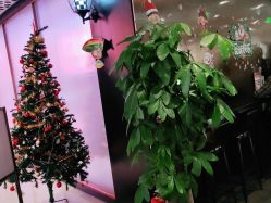 -崇尚GAVIN STYLE臻选