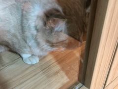 -白兔子密室(长寿路店)