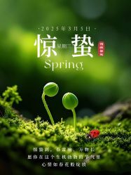 -雅曼妮spa美容养生
