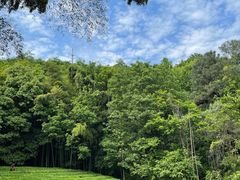 -敬亭山风景名胜区