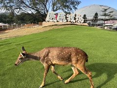 -盈香心动乐园