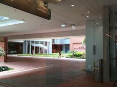 -香港大学
