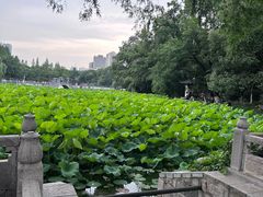 -浮庄