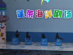 -蓬莱欧乐堡海洋极地世界