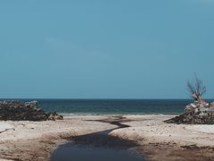 -贝壳沙滩