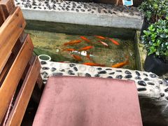 -丽江庭院之爱在路上(西单店)