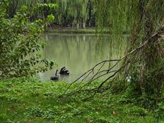 -江南大学(蠡湖校区)