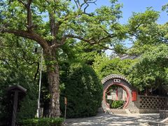 -湛山寺