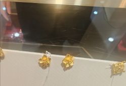 -荟华楼金店(中街店)