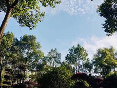 景点-武汉紫薇都市田园