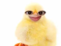 -江油特色冷沾沾(火炮街店)