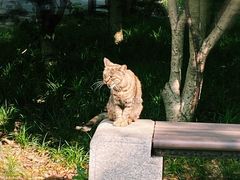 -长广溪湿地公园