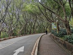 -广州莲花山旅游区