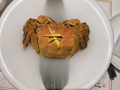 -觀芷隐轩