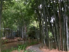 -林丰温泉度假山庄