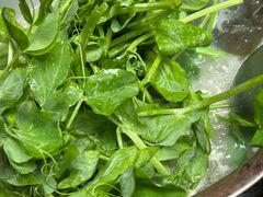 -海关荤豆花(洋河一路店)