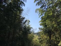 -冶父山国家森林公园