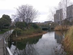 -尚贤河湿地