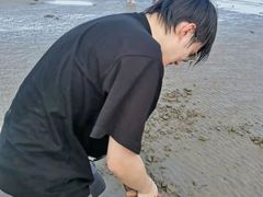 -奉贤海滩
