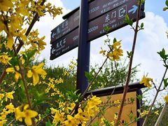 -北京西山国家森林公园