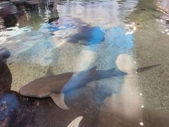 -鸿通城购物中心