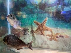 大堂-鸟鹏烧鸟居酒屋(熙龙湾店)