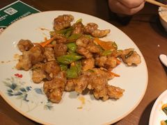 -纯肴大东北(新城北街店)