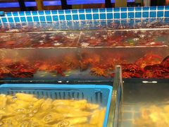 -锅儿欢海鲜火锅烤肉自助餐(东港凯虹店)
