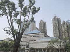 -后襄河公园