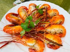 白灼大罗氏虾-黄埔华苑酒家(黄埔店)