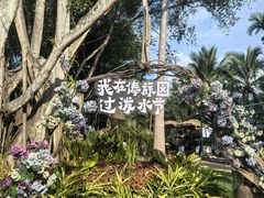 -西双版纳傣族园