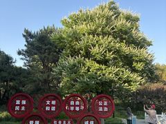 -丰台花园